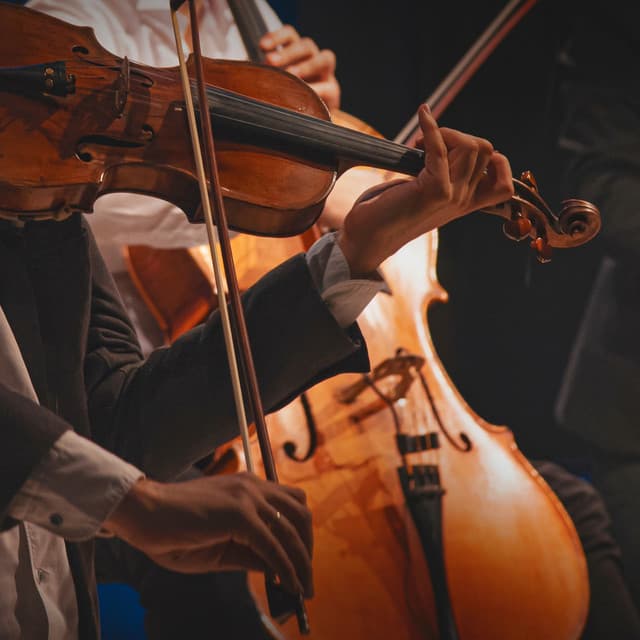 Quiet Orchestra Reflections: Serene Symphonies - Jason Humphries