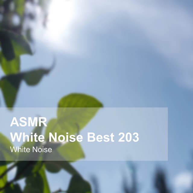 White Noise ASMR Best 203 - White Noise