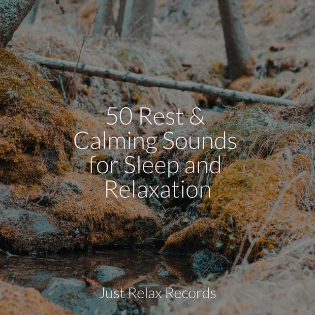 50 Rest & Calming Sounds for Sleep and Relaxation - Guided Meditation