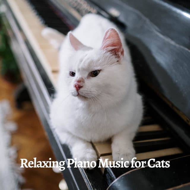 Relaxing Piano Music for Cats - Piano Cat