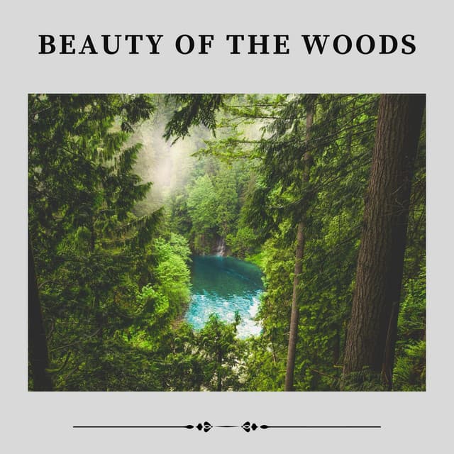 Beauty of the Woods - Mother Nature Recordings