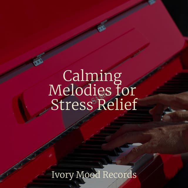 Calming Melodies for Stress Relief - CANCIONES DE CUNA
