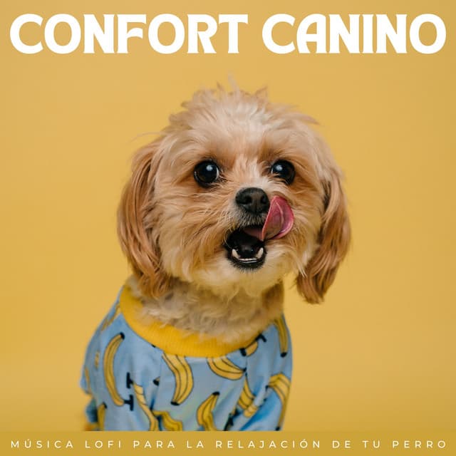 Confort Canino: Música Lofi Para La Relajación De Tu Perro - Serenidad Academy