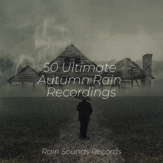 50 Ultimate Autumn Rain Recordings - Relajación