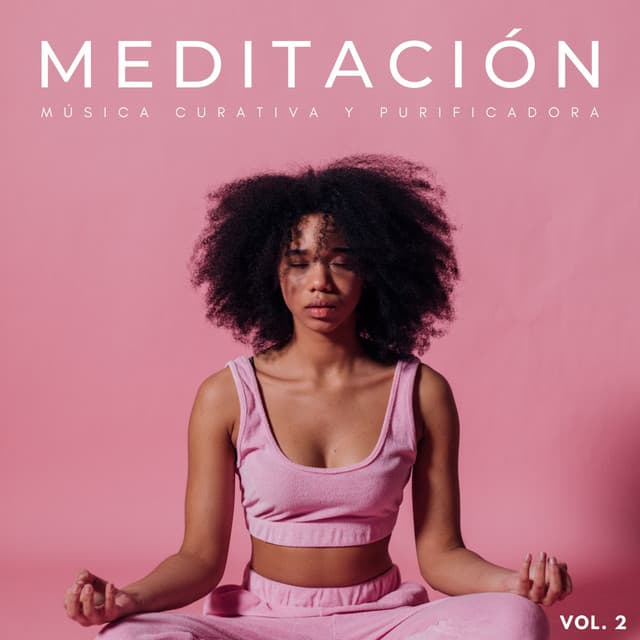Meditación: Música Curativa Y Purificadora Vol. 2 - Conjunto de música de meditación Bugghist