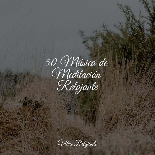 50 Música de Meditación Relajante - Dormir e Meditar