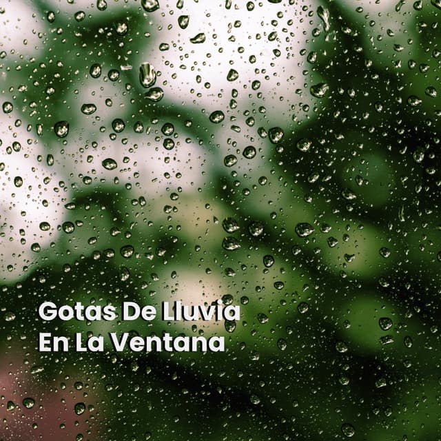 Gotas De Lluvia En La Ventana - Sonidos De La Naturaleza