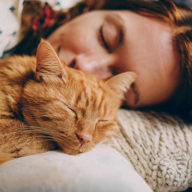 Gracia Felina: Música De Guitarra Para Gatos - Musica Relajante de Guitarra