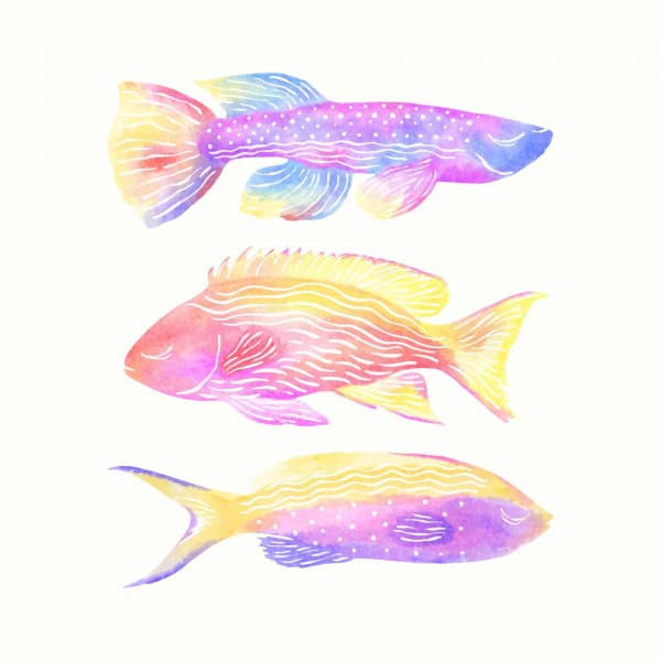 Backdrop for Manifesting Creativities - Soprano Sax Solo - Música para Cafés