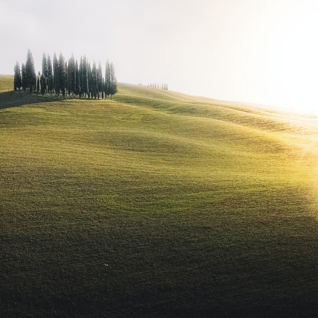 Relaxing White Noise to Calm - White Noise Collectors