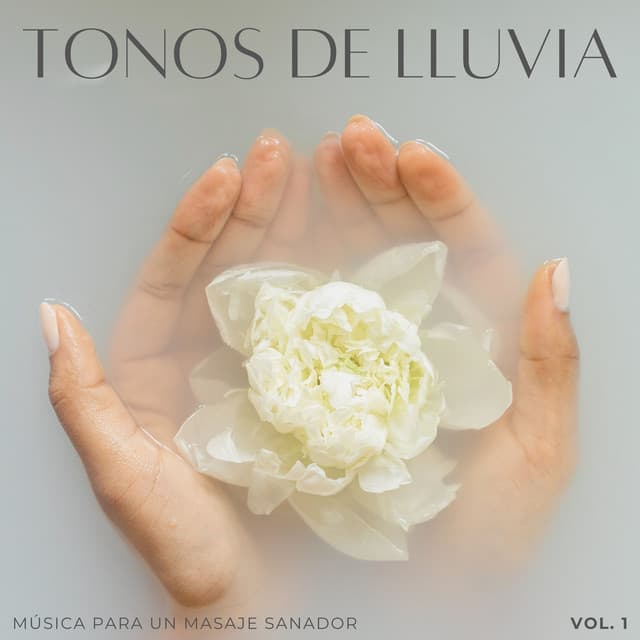 Tonos De Lluvia: Música Para Un Masaje Sanador Vol. 1 - Lluvia Instantánea