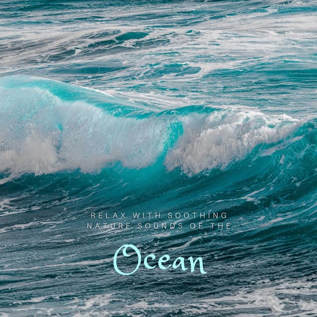 Relax with Soothing Nature Sounds of the Ocean - Sea Noise Channel