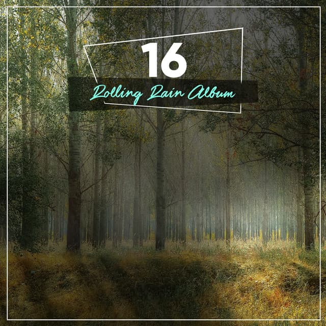 20 Rolling Rain Sounds to Calm the Mind - Nature Sounds XLE Library