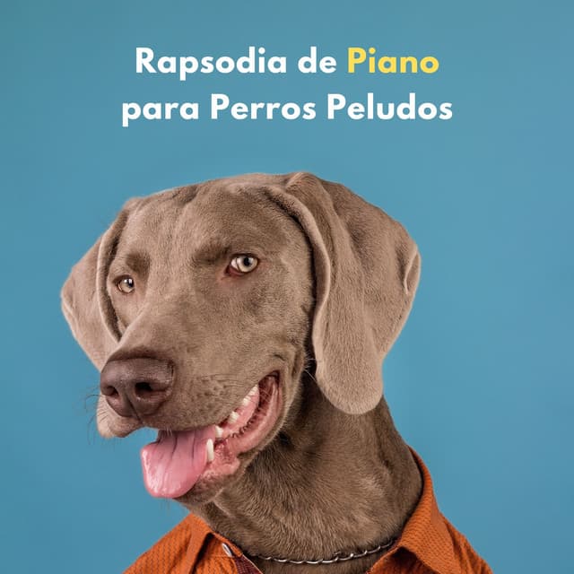 Rapsodia De Piano Para Perros Peludos - Relajante Piano Jazz