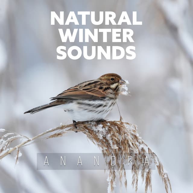 Natural Winter Sounds: Major Depressive Disorder, Multidimensional Anxiety - Anandra