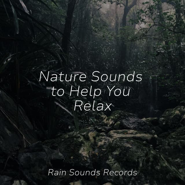 Nature Sounds to Help You Relax - Sleep Sounds of Nature
