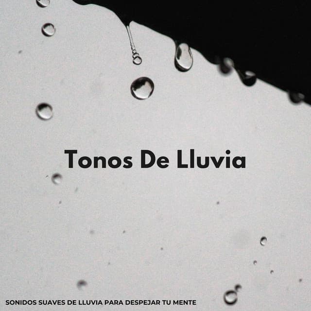 Tonos De Lluvia: Sonidos Suaves De Lluvia Para Despejar Tu Mente - Fabricantes de lluvia suave