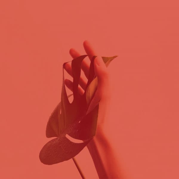 Unique Music for Sleep Therapy - Glockenspiel Music - Nature Atmospheres