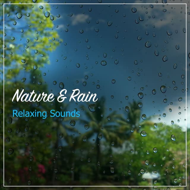 29 Nature and Rain Sounds Ambient Relaxing Sounds - Sleep Sounds of Nature