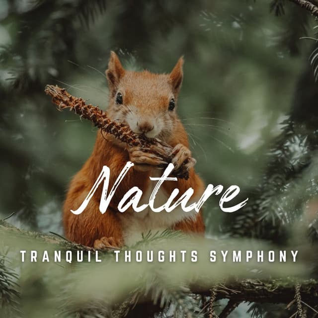 Tranquil Mind Focus: Nature's Aid - Reiki Healing Academy