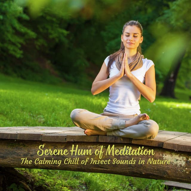Serene Hum of Meditation: The Calming Chill of Insect Sounds in Nature - Peaceful Nature Sounds