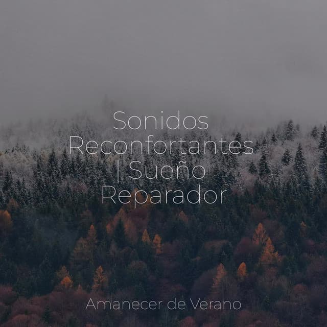 Sonidos Reconfortantes | Sueño Reparador - Guitarra Clásica Española