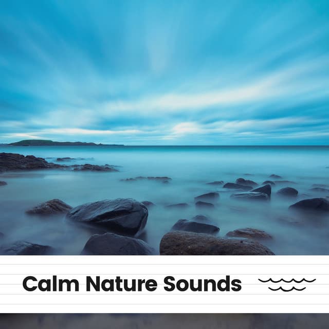 Calm Nature Sounds - Sounds of Nature Noise