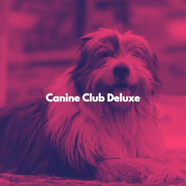 Canine Club Deluxe - Deluxe Elevator Music