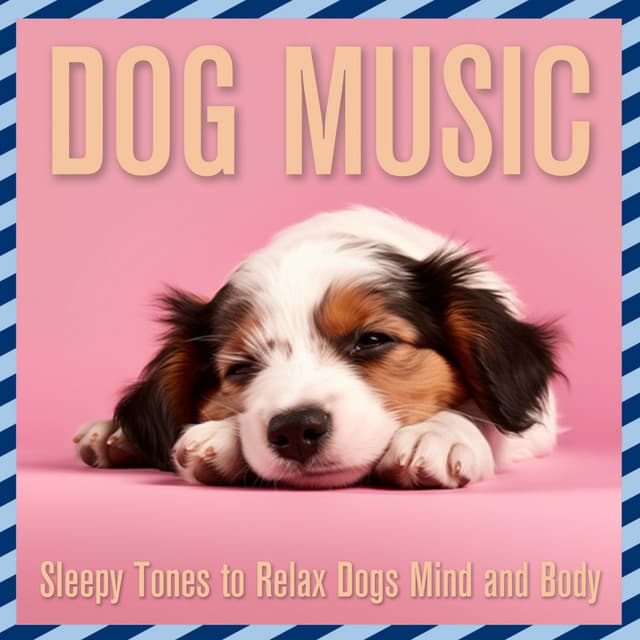 Dog Music: Sleepy Tones to Relax Dogs Mind and Body - Relaxmydog