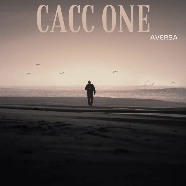 Cacc One - Aversa