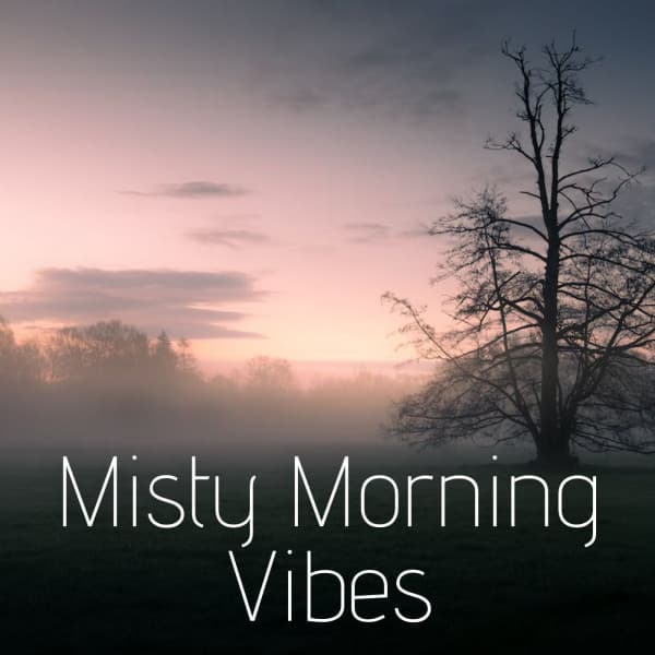 Misty Morning Vibes - Rain Sounds & Nature Sounds