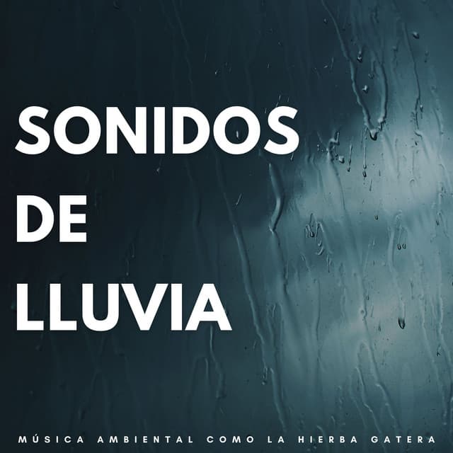Sonidos De Lluvia: Música Ambiental Como La Hierba Gatera - Última sinfonía de lluvia