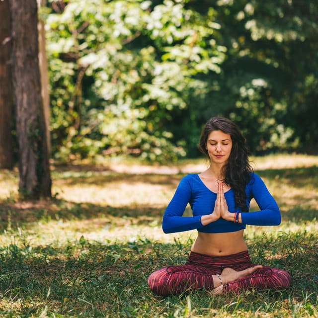 Rainfall Ambient Serenade: Restful Meditation with Binaural Harmony - Rain Meditations