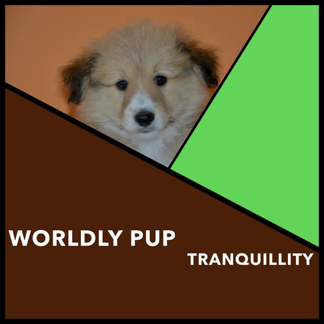 Worldly Pup Tranquillity - Dogs Music Therapy