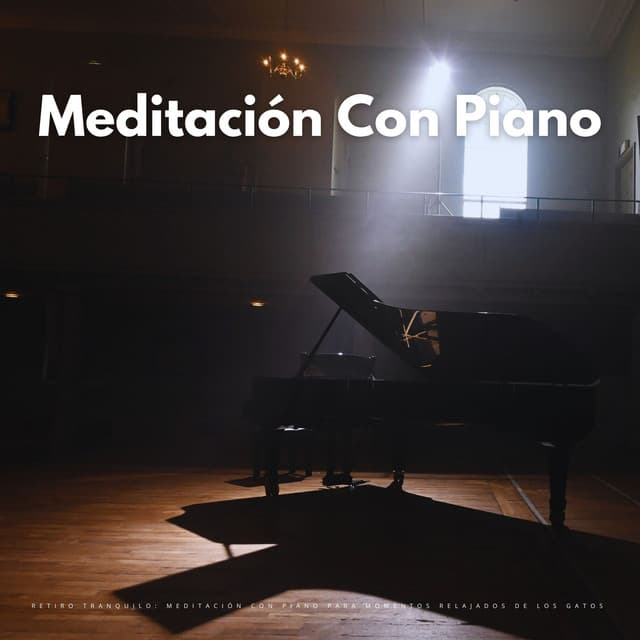 Retiro Tranquilo: Meditación Con Piano Para Momentos Relajados De Los Gatos - Música Calmante para Gatitos