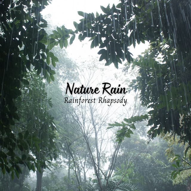 Nature Rain: Rainforest Rhapsody - Lightning Thunder and Rain Storm