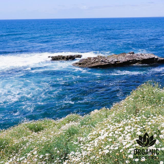 Rest by the Bay - Sea Sounds