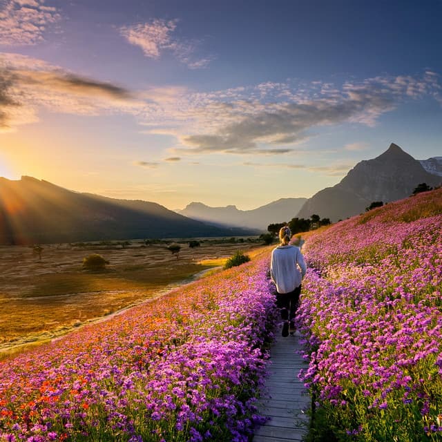 Equilibrio Melódico: Música Elevadora Para La Paz - Puros ritmos binaurales