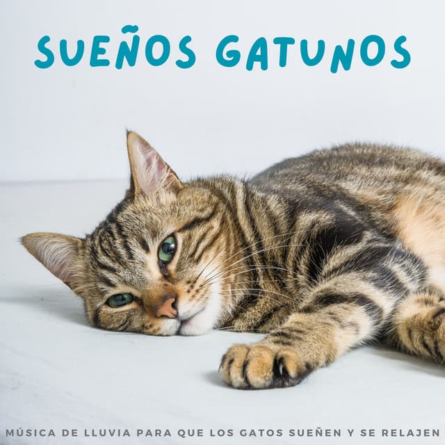 Guarida de música de gatos
