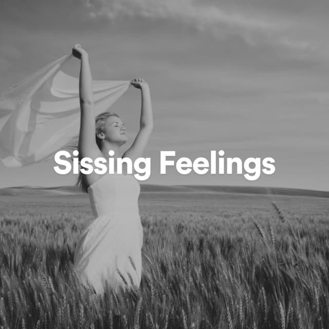 Sissing Feelings - Official White Noise Collection