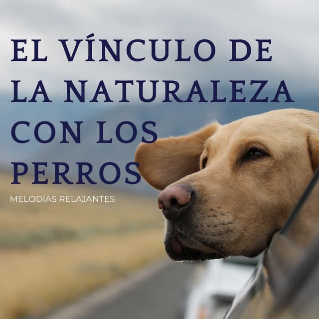 El Vínculo De La Naturaleza Con Los Perros: Melodías Relajantes - ASMR total