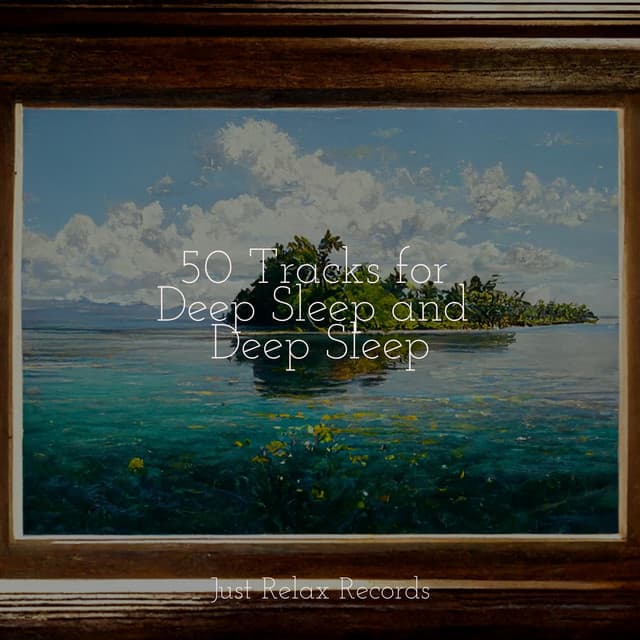 50 Tracks for Deep Sleep and Deep Sleep - Relaxing Mindfulness Meditation Relaxation Maestro