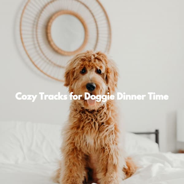 Cozy Tracks for Doggie Dinner Time - Sunday Morning Jazz Playlist