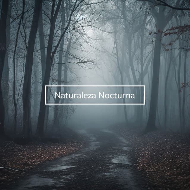 Naturaleza Nocturna: Sonidos Oscuros del Bosque para Dormir, Hipnosis y Relajación - Relajante Conjunto de Música Zen