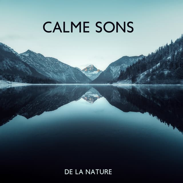 Calme sons de la nature: Musique relaxante pour corps et esprit - Musique Coeur de la Nature
