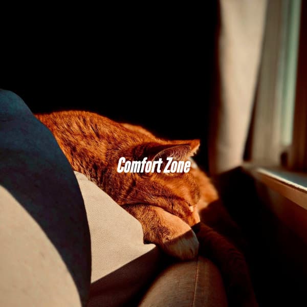 Comfort Zone - Jazz Rilassante Retro