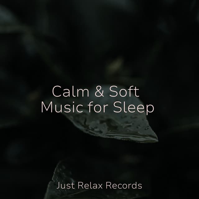 Calm & Soft Music for Sleep - Instrumental