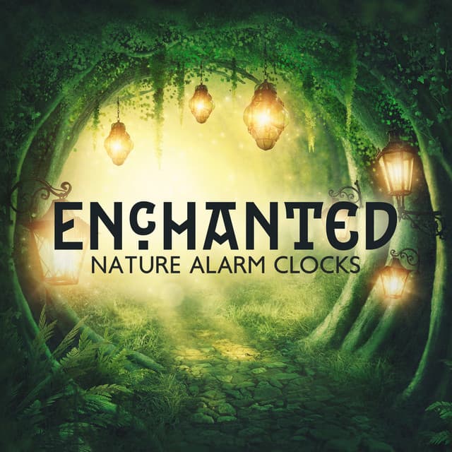 Enchanted Nature Alarm Clocks - Imagination Music Universe