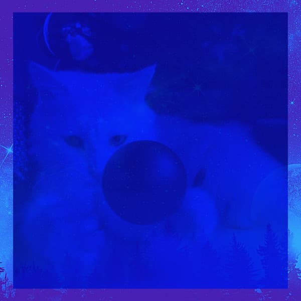 Fun Quartet Jazz - Ambiance for Relaxed and Lounging Cats - Cat Music Hour