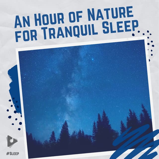 An Hour of Nature for Tranquil Sleep - #Sleep